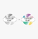 Capture Duet fornyelse til 2025